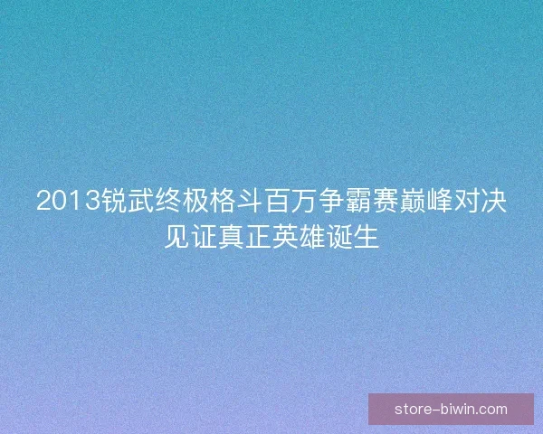 2013锐武终极格斗百万争霸赛巅峰对决见证真正英雄诞生
